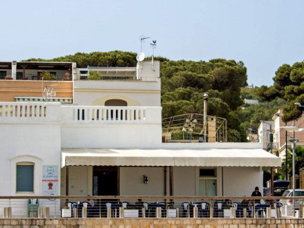 Vendesi Bar con Gelateria in provincia di Lecce